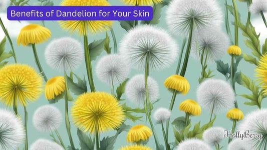 Benefits of Dandelion for Your Skin