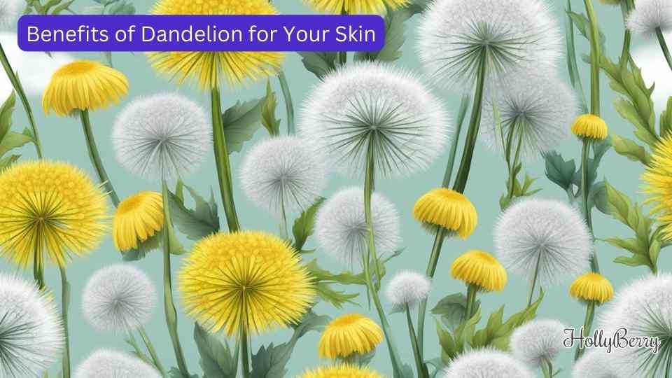Benefits of Dandelion for Your Skin Hollyberry Cosmetics UK