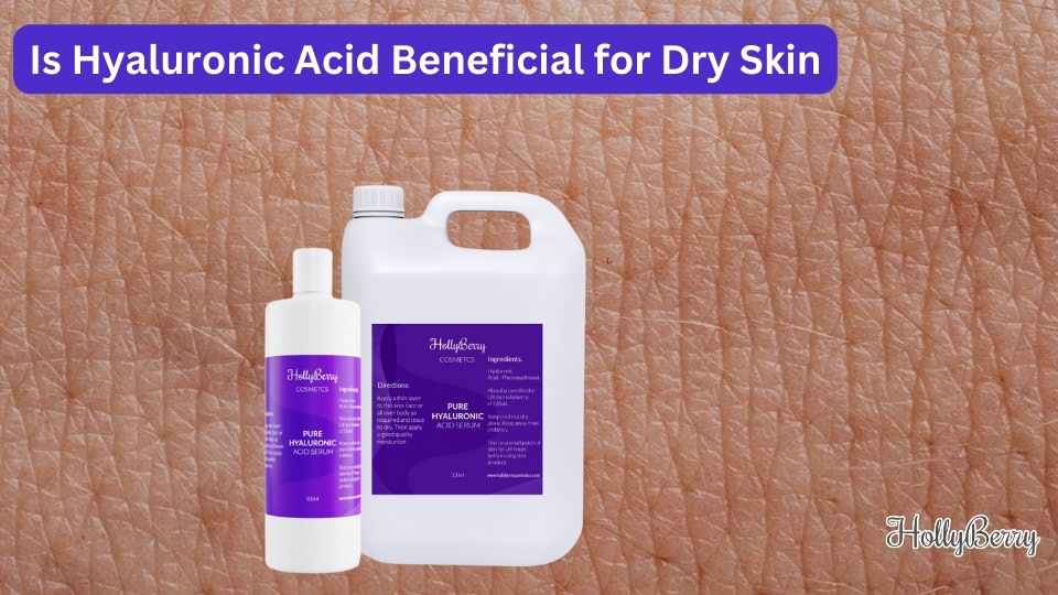 Is Hyaluronic Acid Beneficial for Dry Skin Hollyberry Cosmetics UK