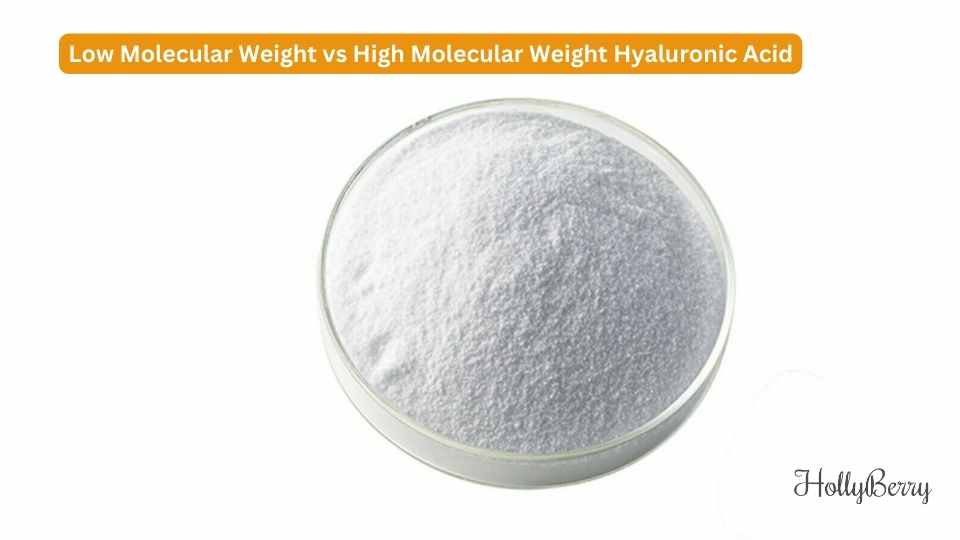 Low Molecular Weight vs High Molecular Weight Hyaluronic Acid: What's the Difference