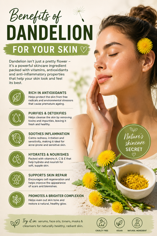 Benefits of Dandelion for Your Skin